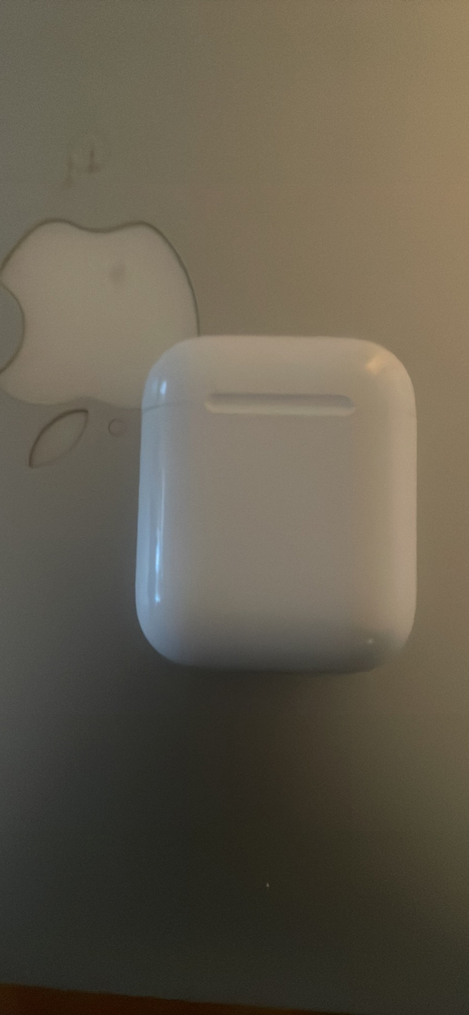 AirPods case