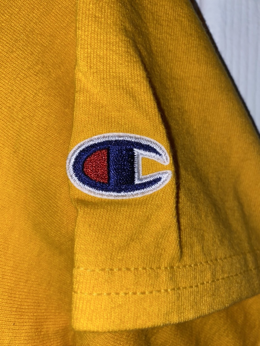 Champion x Earl Sweatshirt T-Shirt (small) image indicator(3)