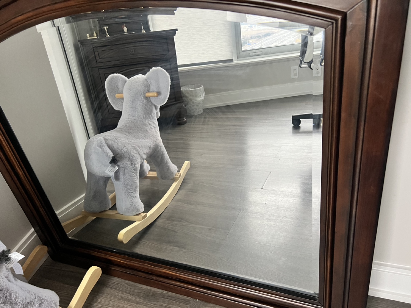Mirror thumbnail