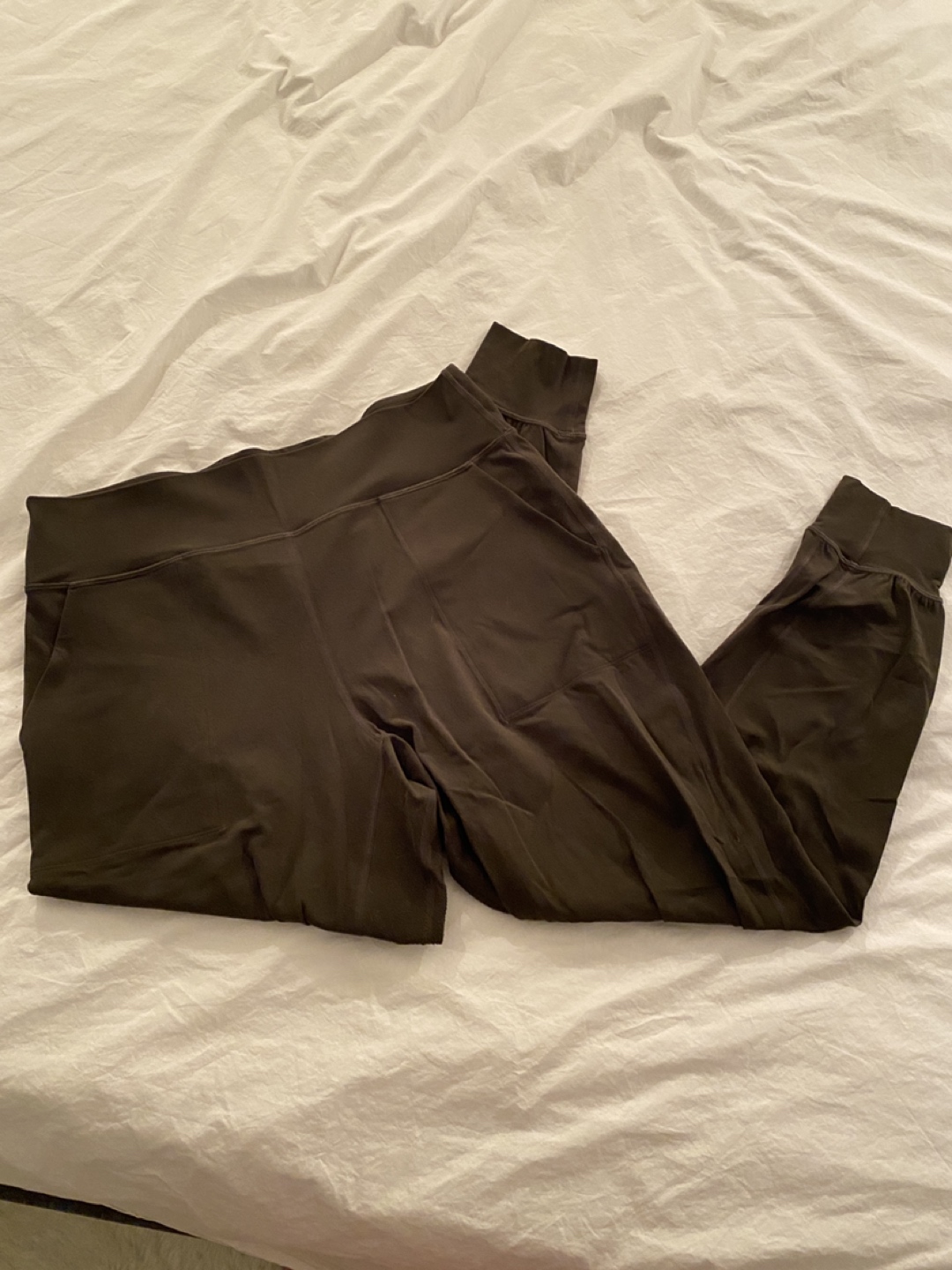 Lululemon Align Joggers (size 12)