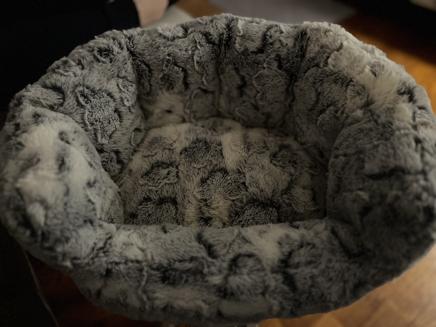 Cat Bed #freecycle thumbnail