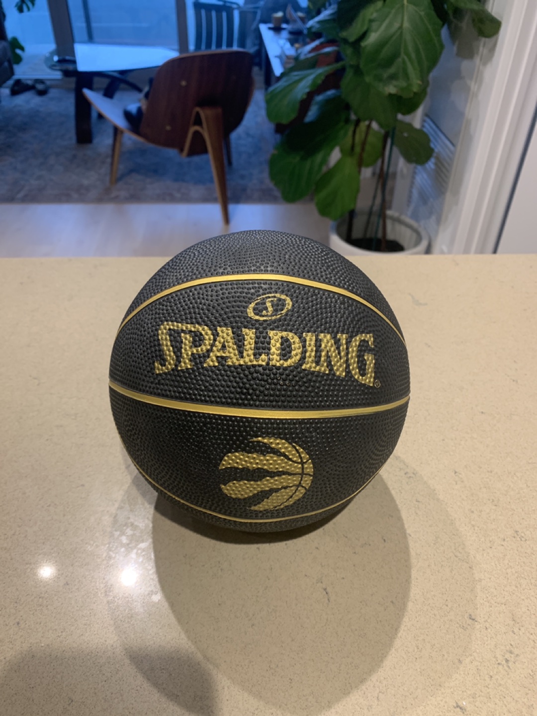 Mini basketball