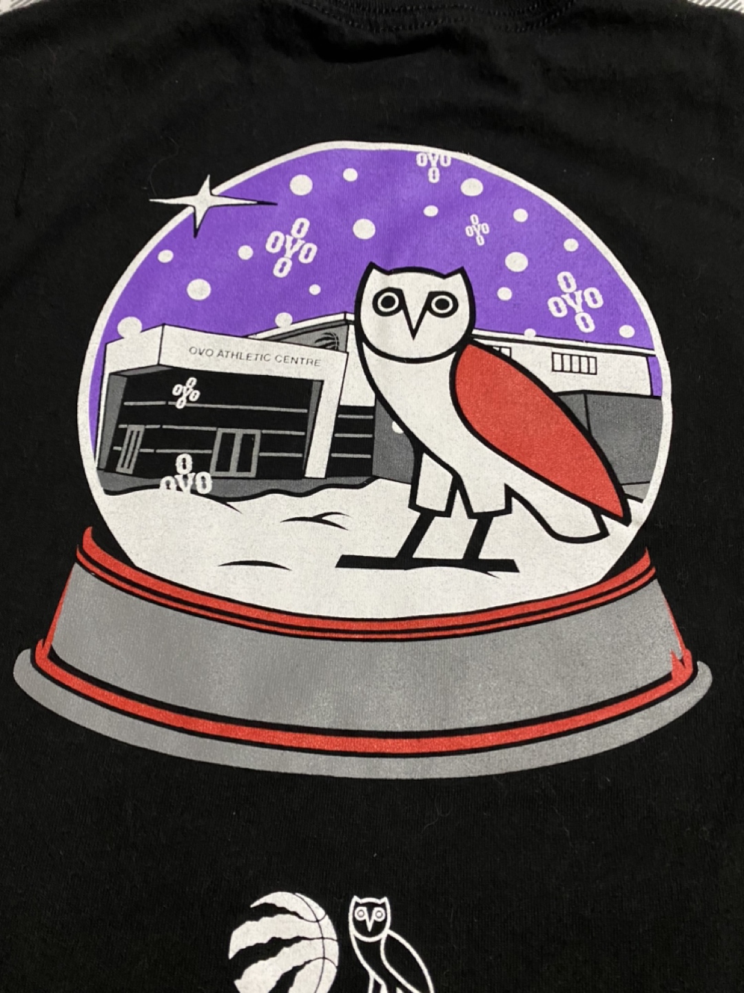 Raptors small long sleeve - photo 3