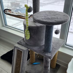 Cat Tree, Cat Condo, Cat Perch