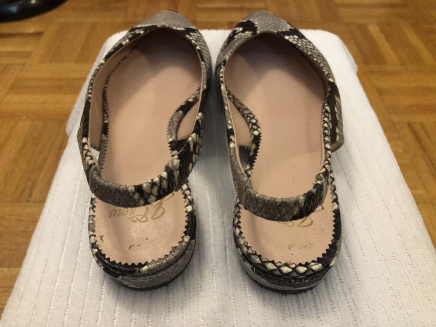 J-CREW Snake Plant Leather Shoes Size 5.5M - photo 3