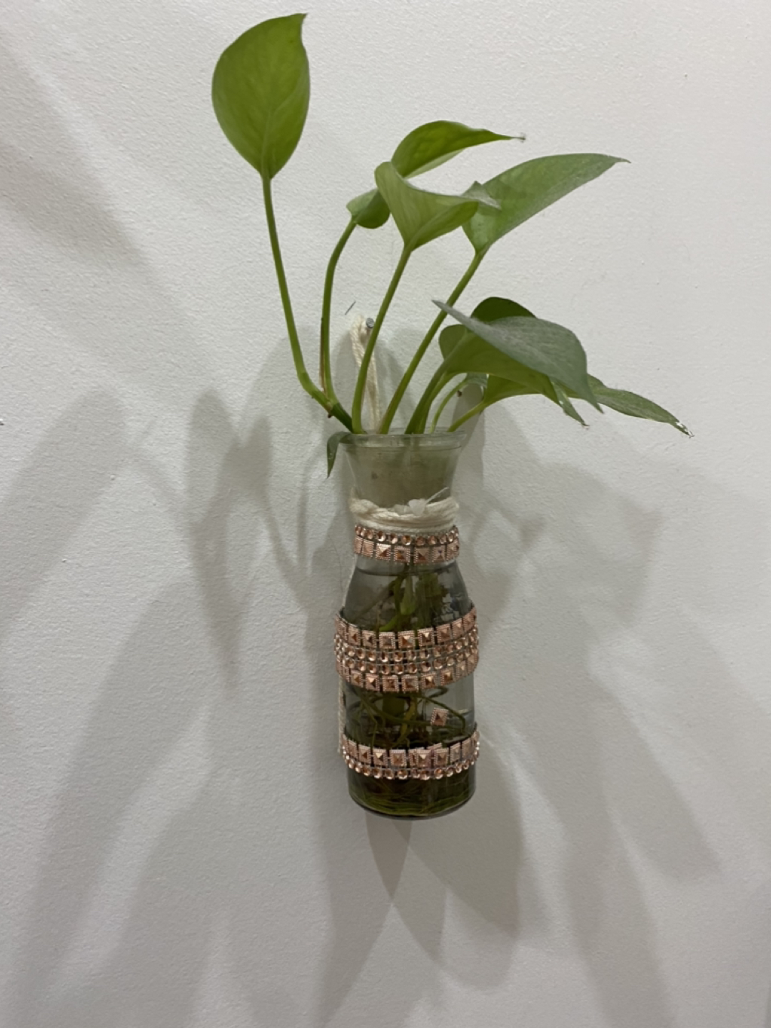Plant vase