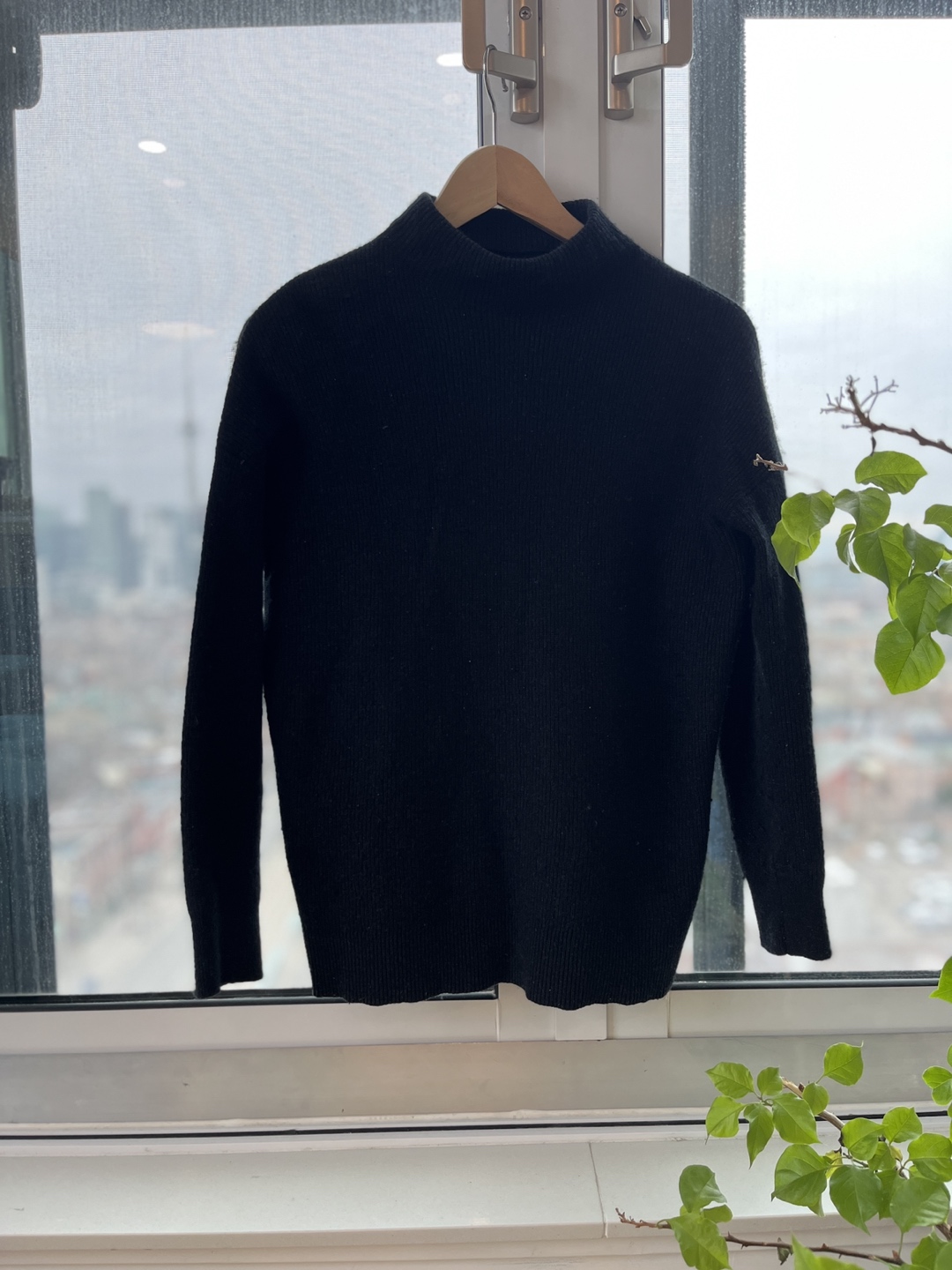 Black Roots Knit Sweater