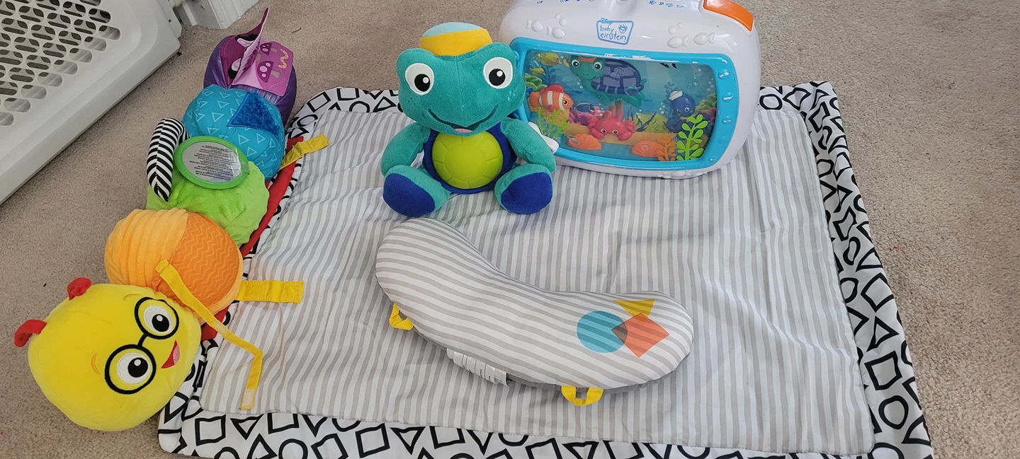 Baby Einstein lot