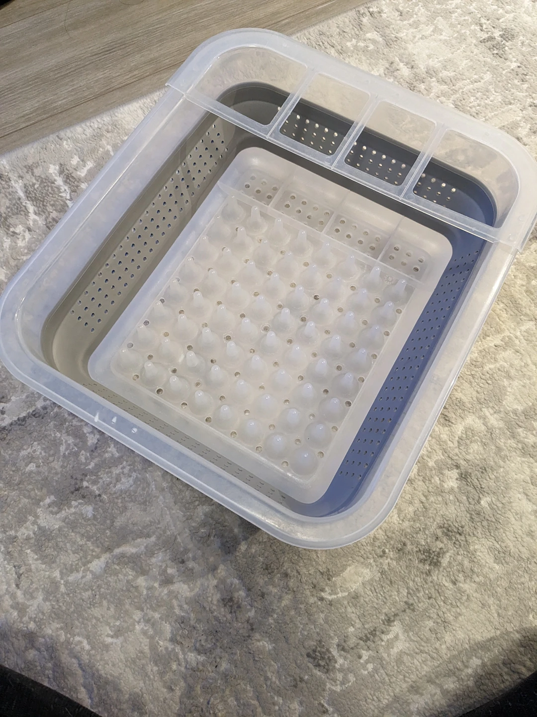 Collapsible Dish Drying rack