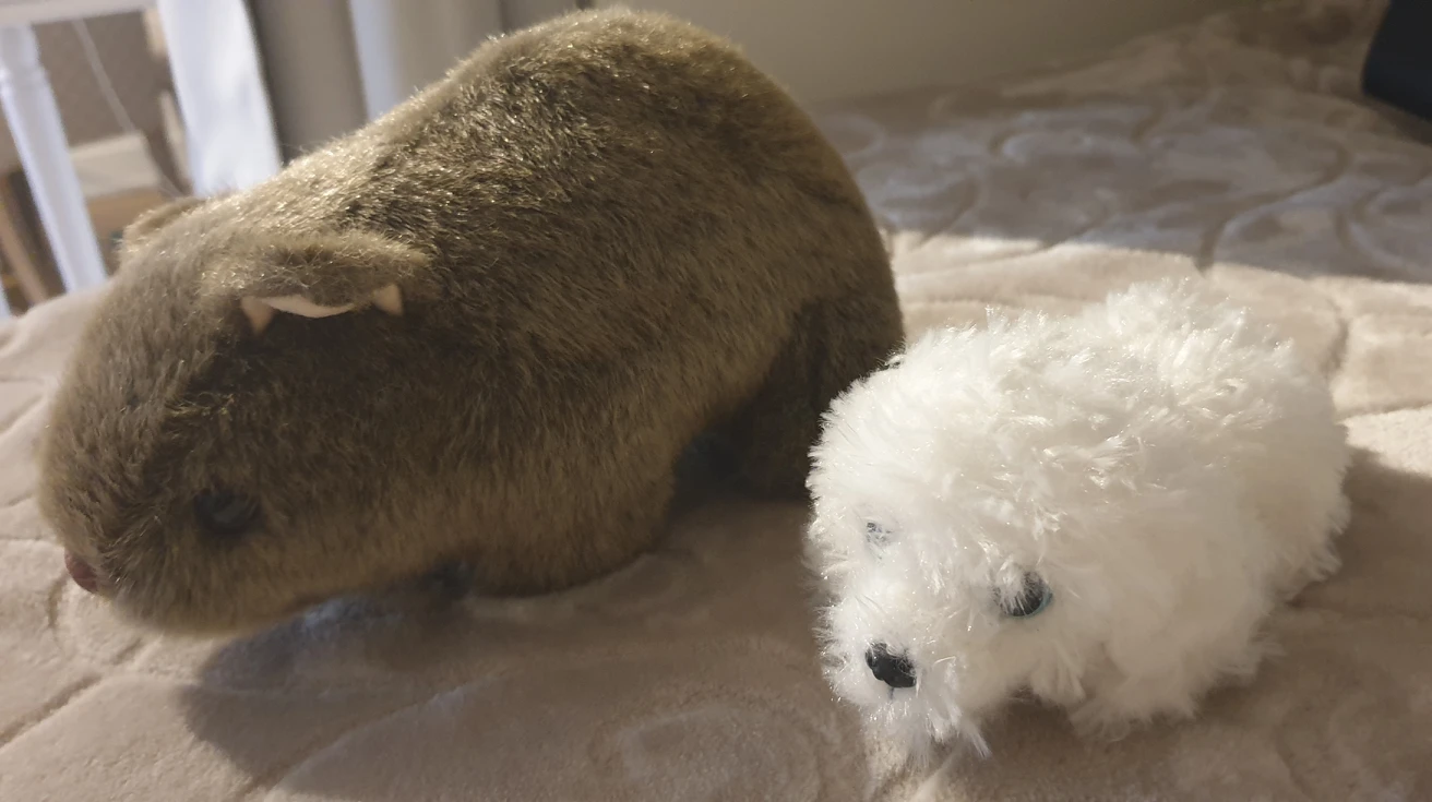Free plush toys