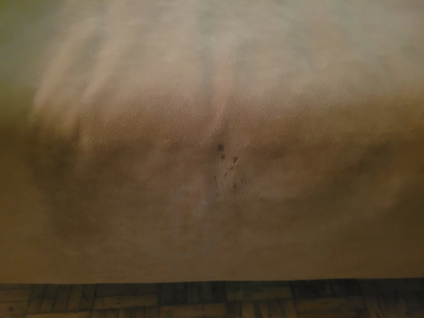 Day bed (orange suede) - photo 3