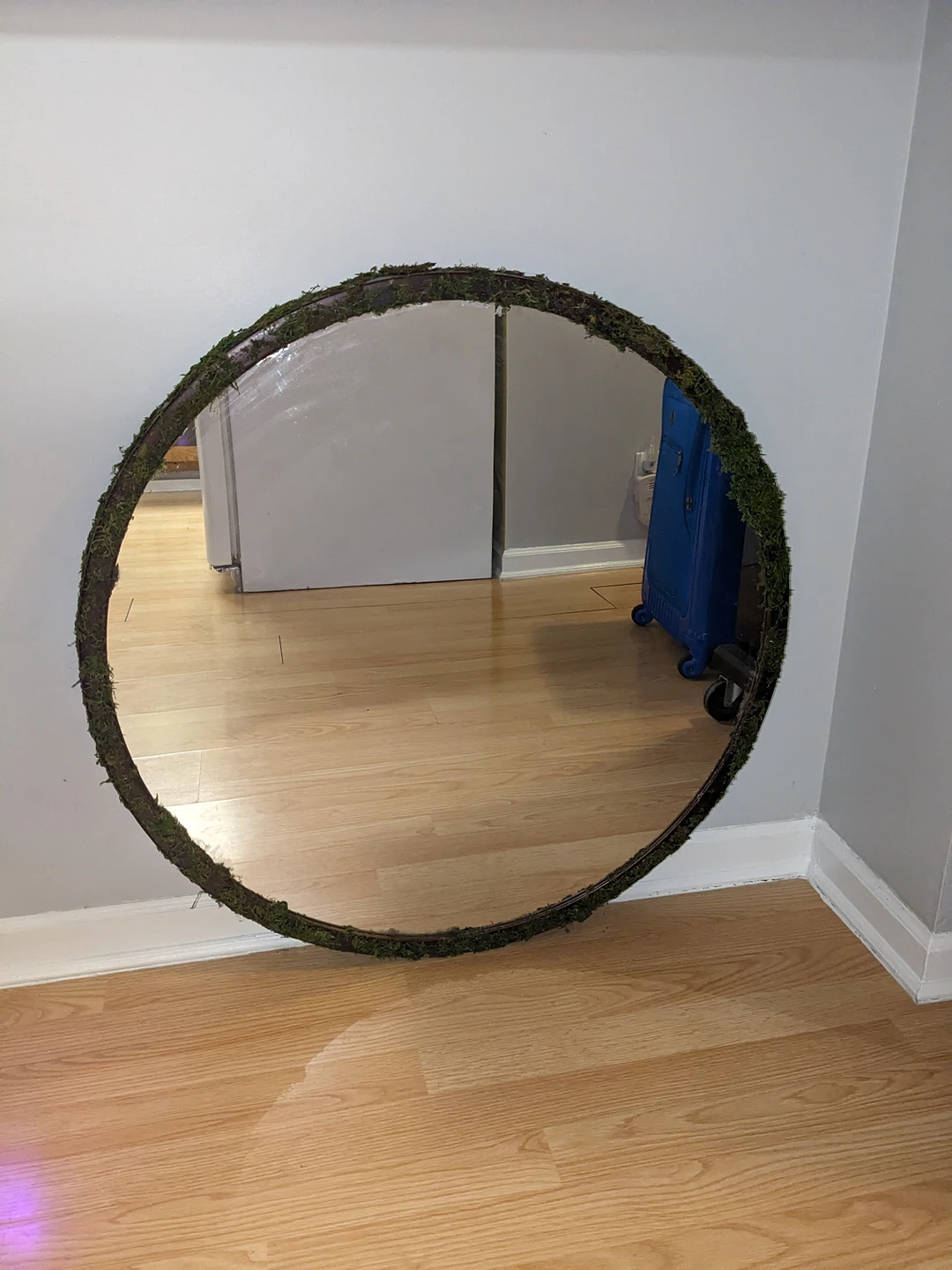 circle mirror with fake moss