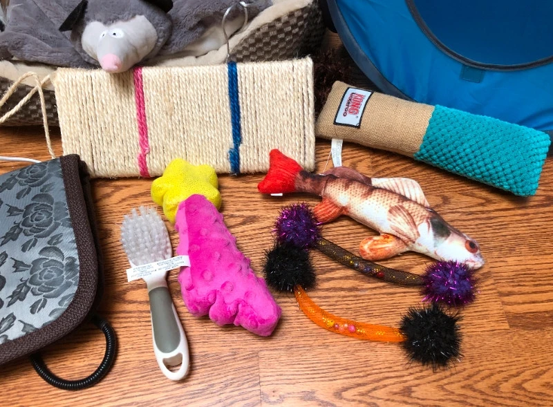 kitten starter bundle kit bed toys tent - photo 2