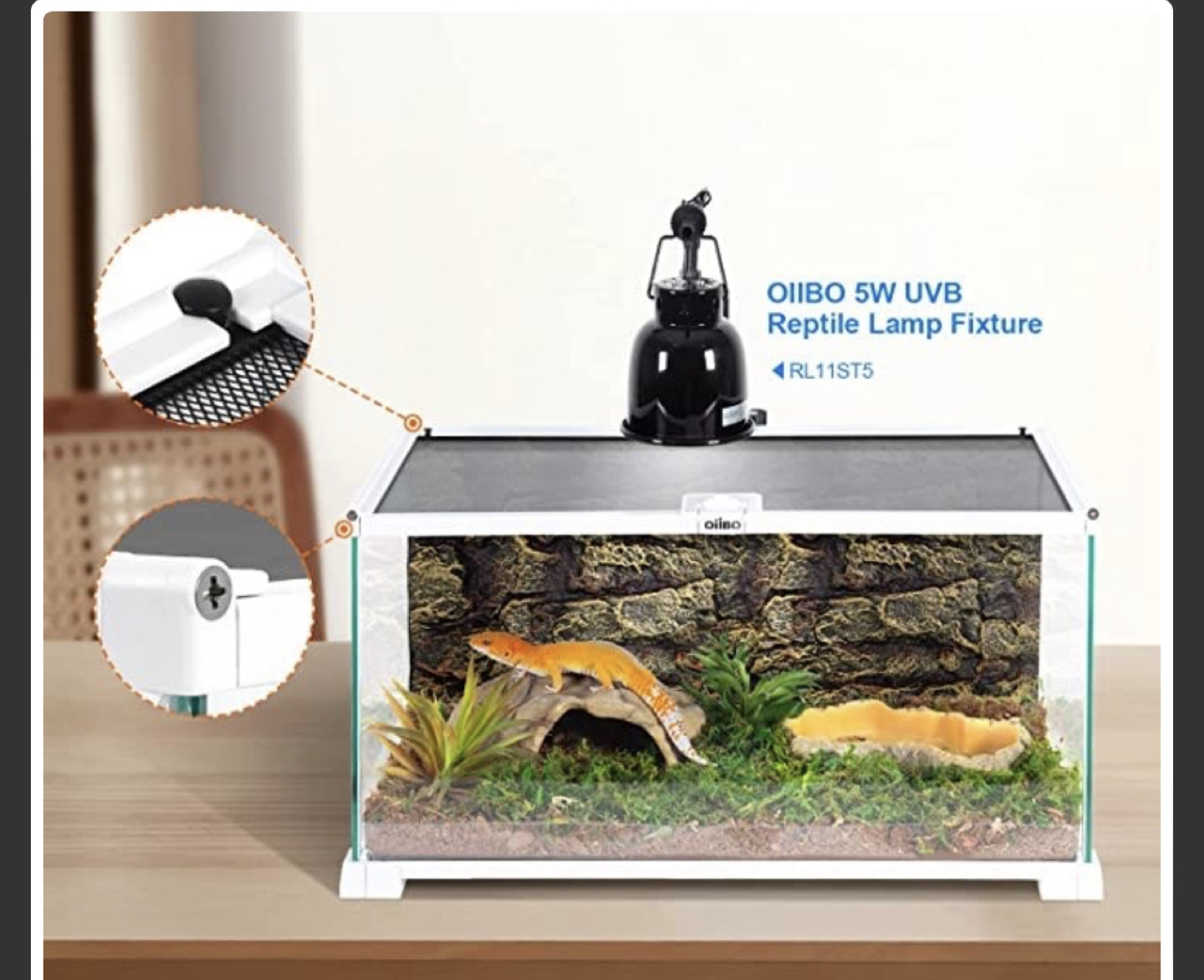 Reptile aquarium