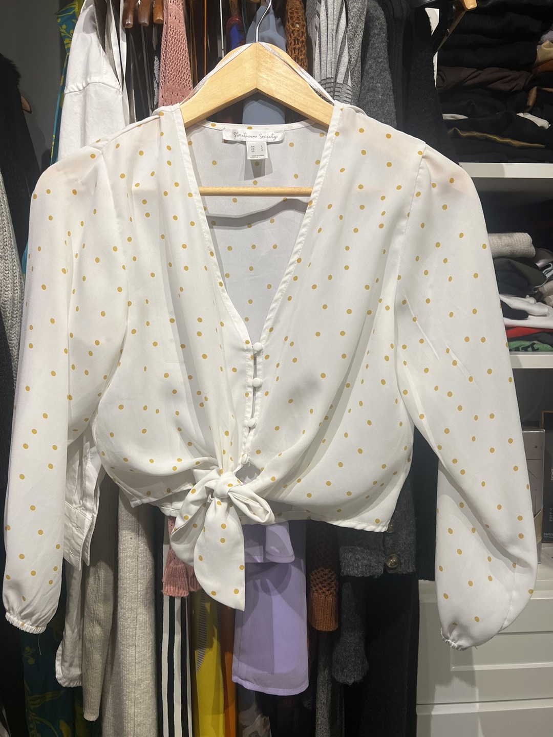 White gold polka dot cropped blouse