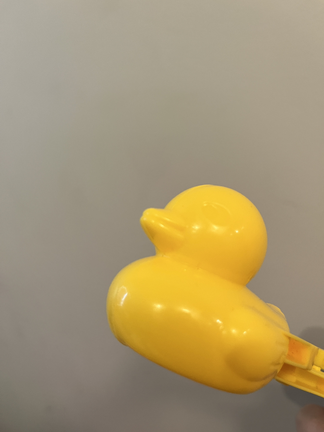 Snow duck maker image indicator(2)