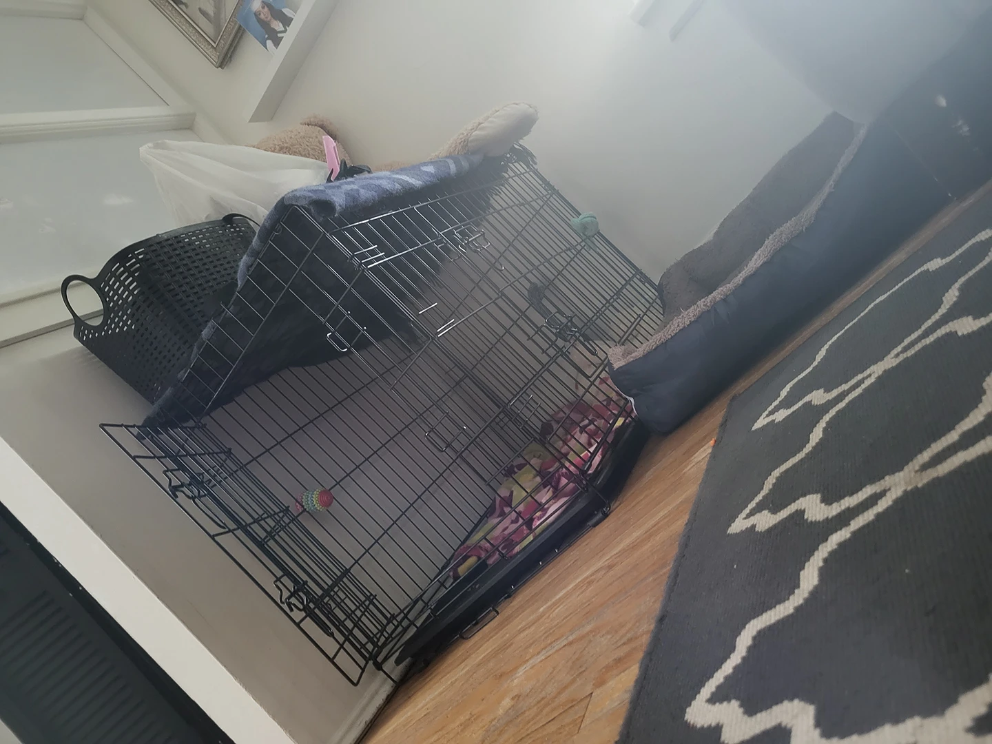 dog cage thumbnail