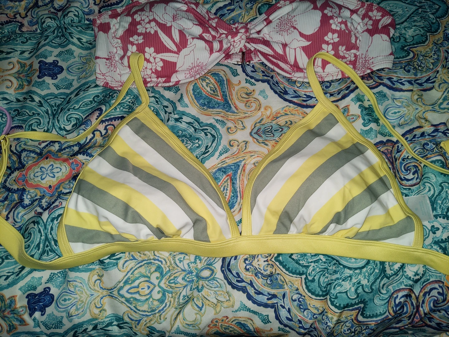 bikini top image indicator(2)