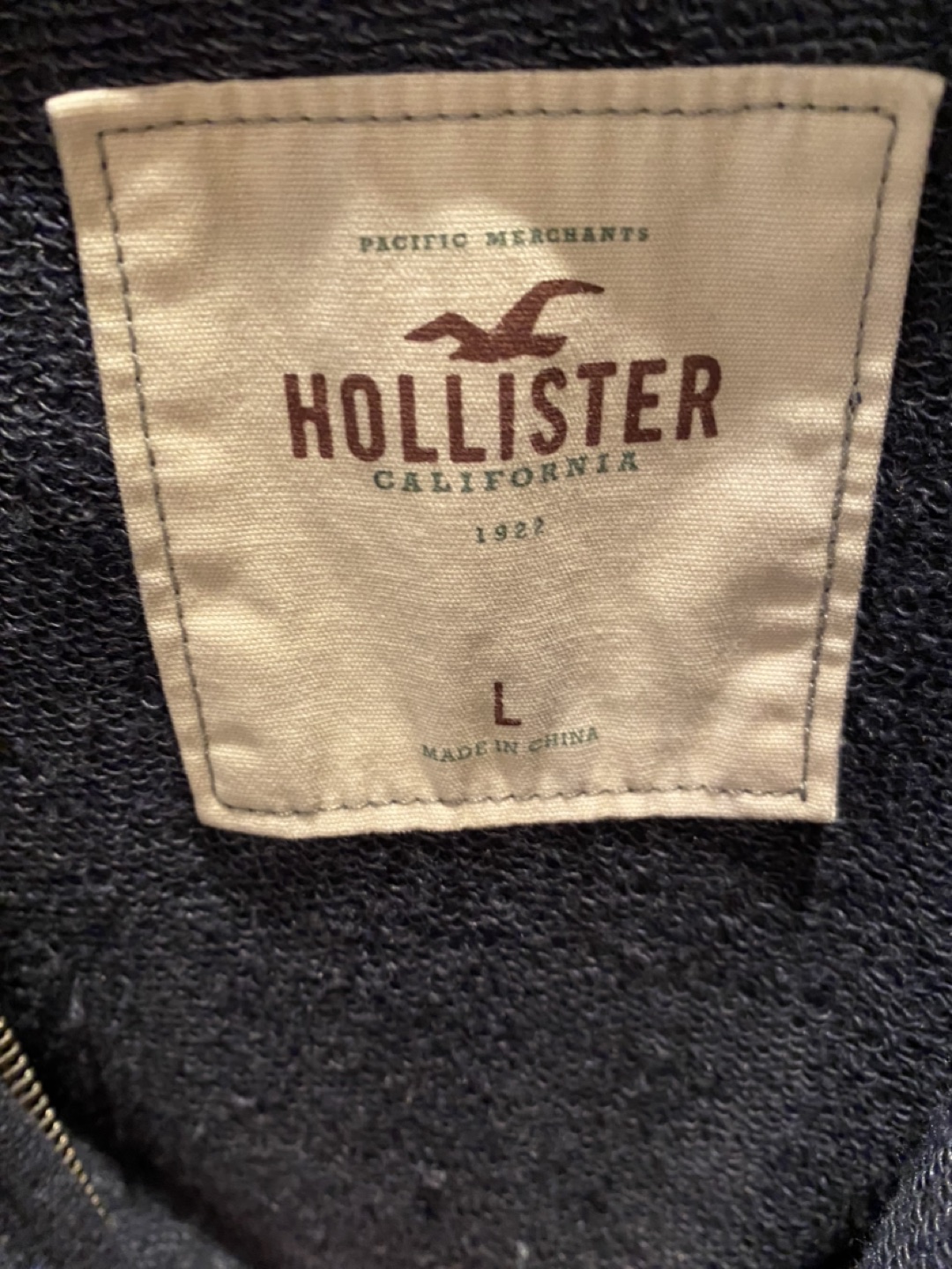 Hollister “Calif” hoodie image indicator(4)