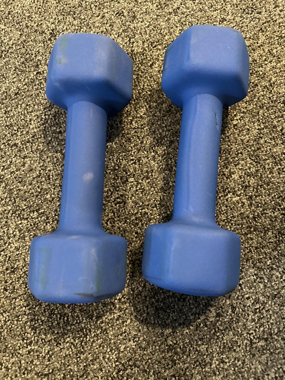 10 pound dumbbells - lightly used - photo 2