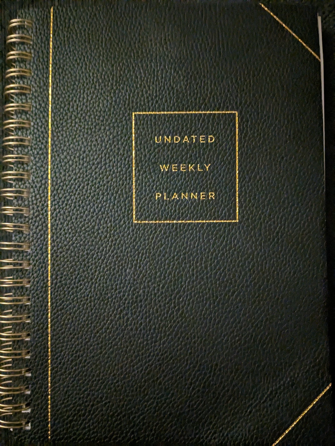 Undated planner and bullet journal thumbnail