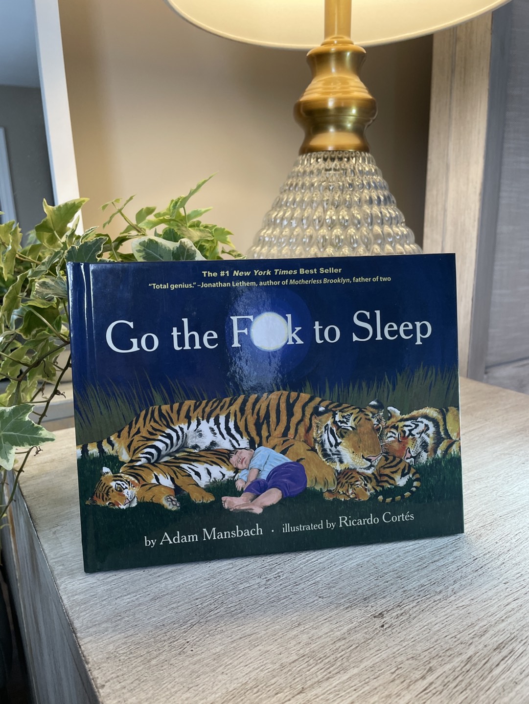 GO THE F**K TO SLEEP BOOK thumbnail