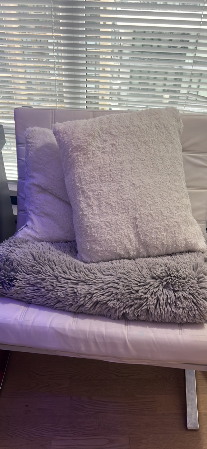 Home sense pillow and throw set