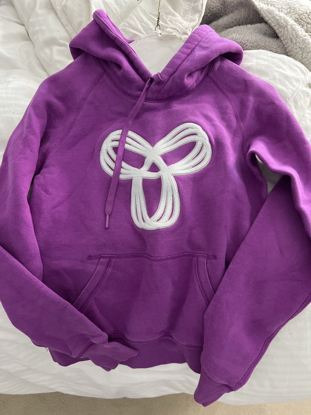 TNA Aritzia hoodie