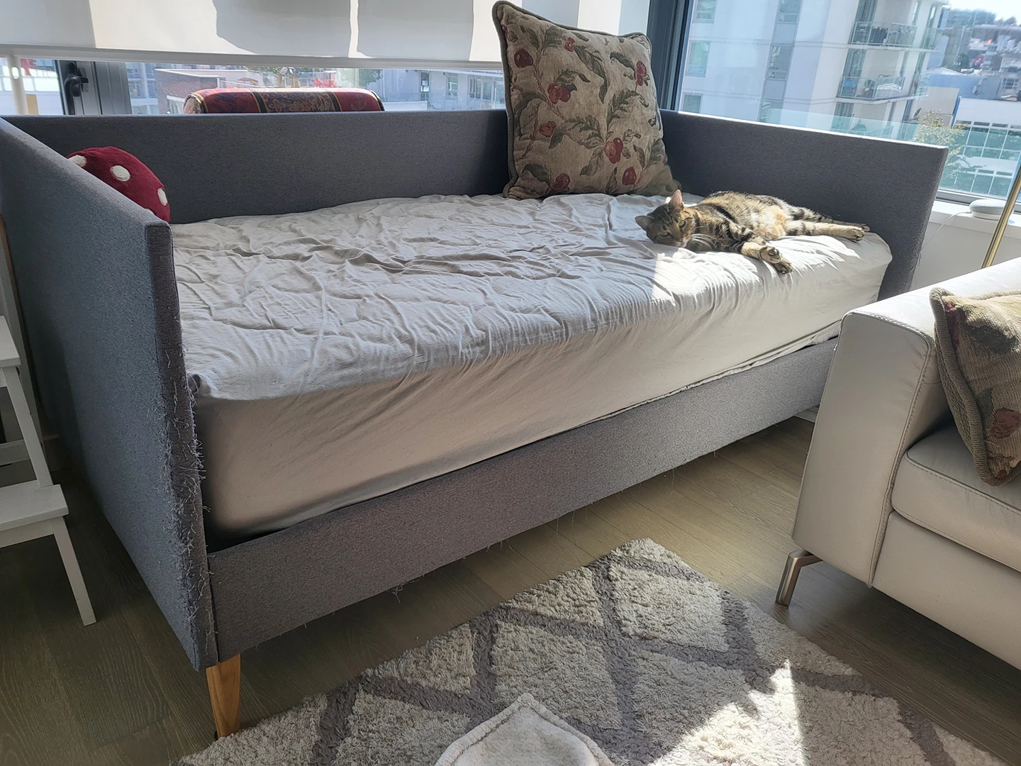 Daybed + Twin Mattress thumbnail