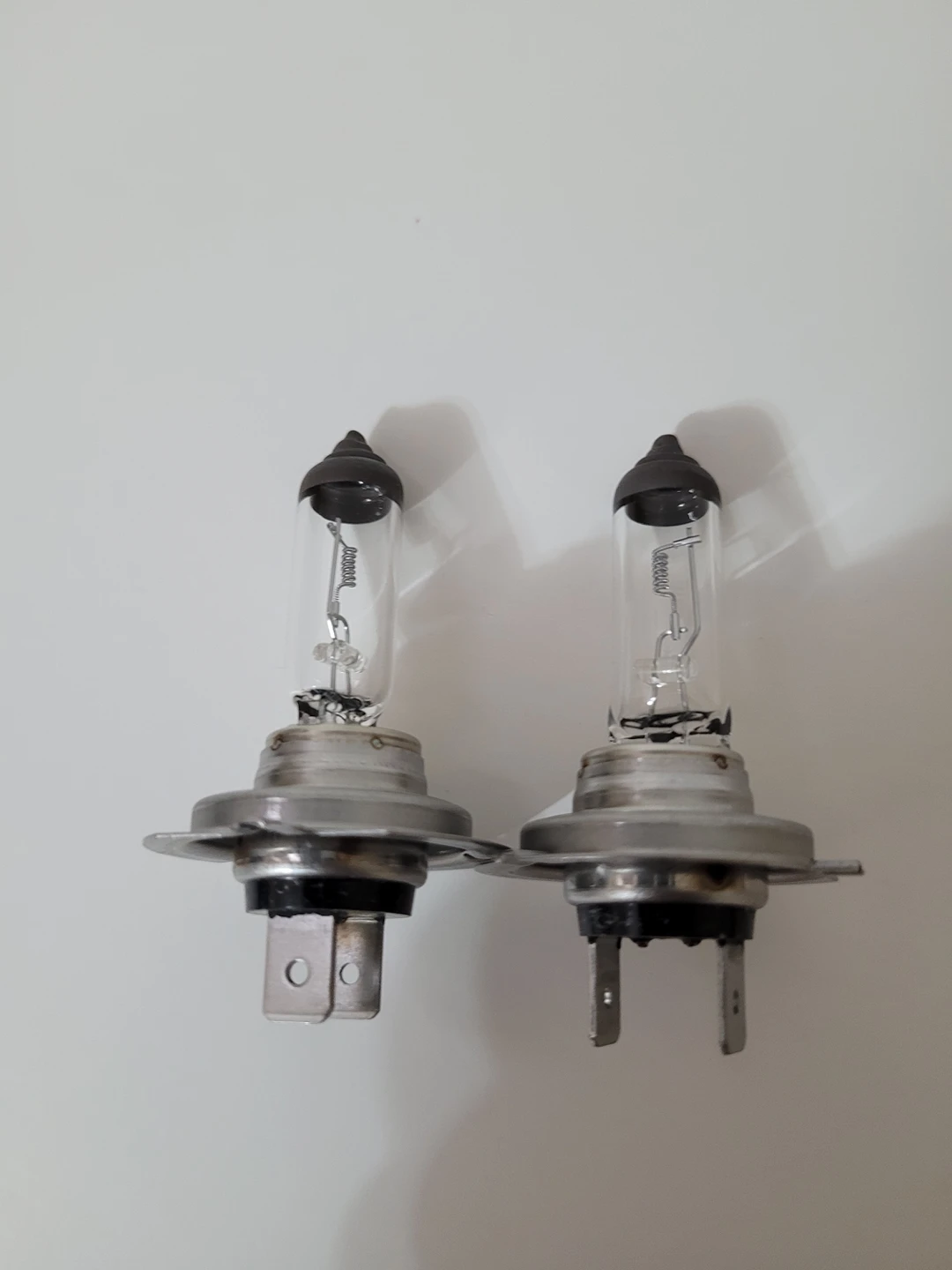 Hella H7 24V Halogen Bulbs thumbnail
