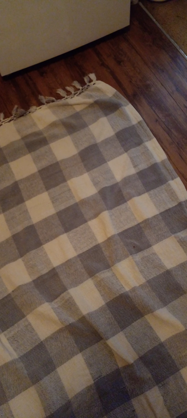 Small washable rug. thumbnail