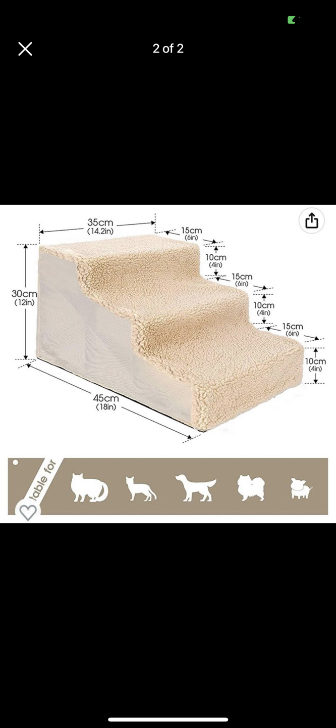 Dog Stairs thumbnail