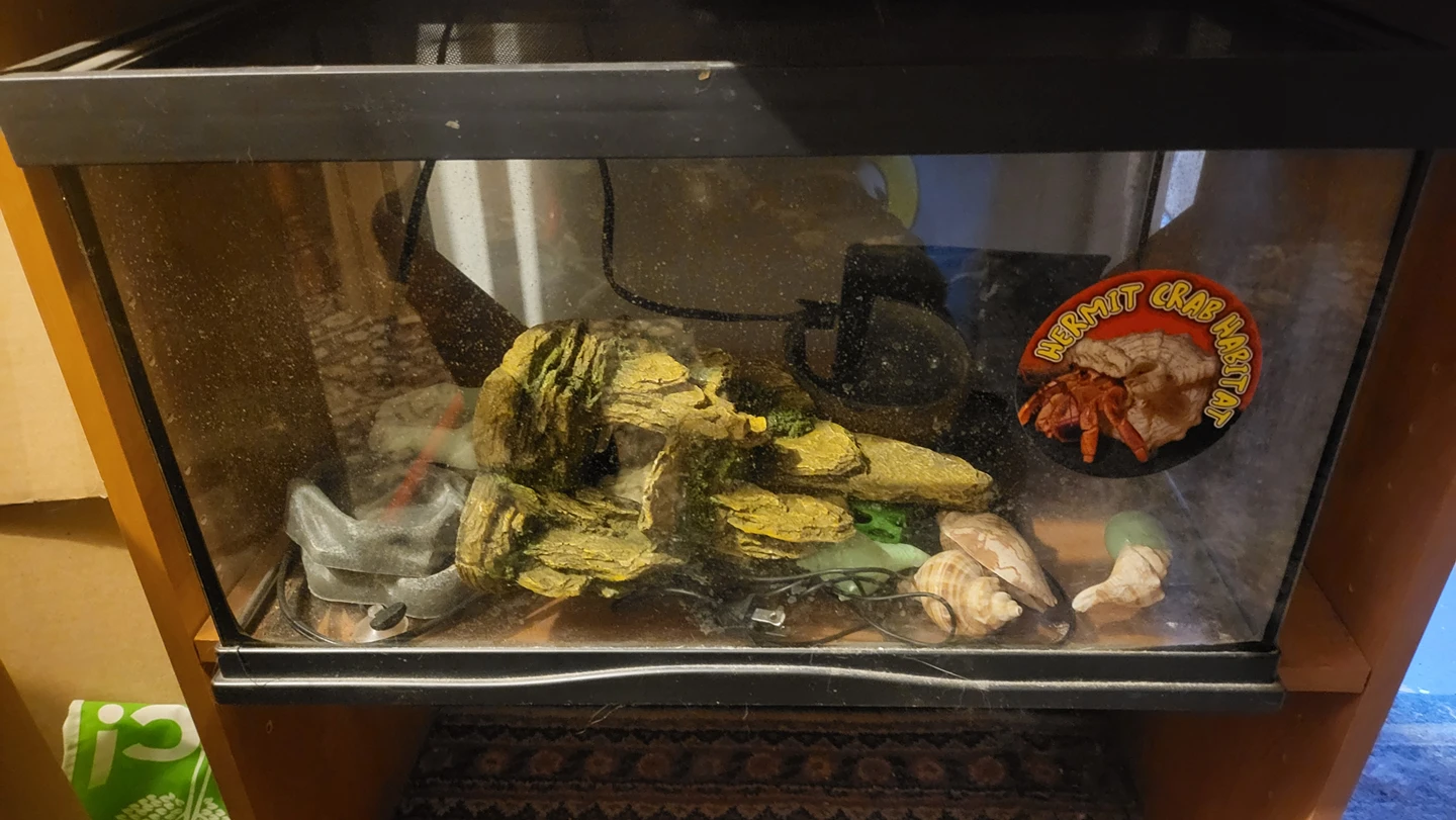 Crab or lizard tank/terrarium