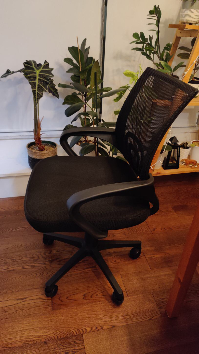 Ergonomic Office Chair - photo 2