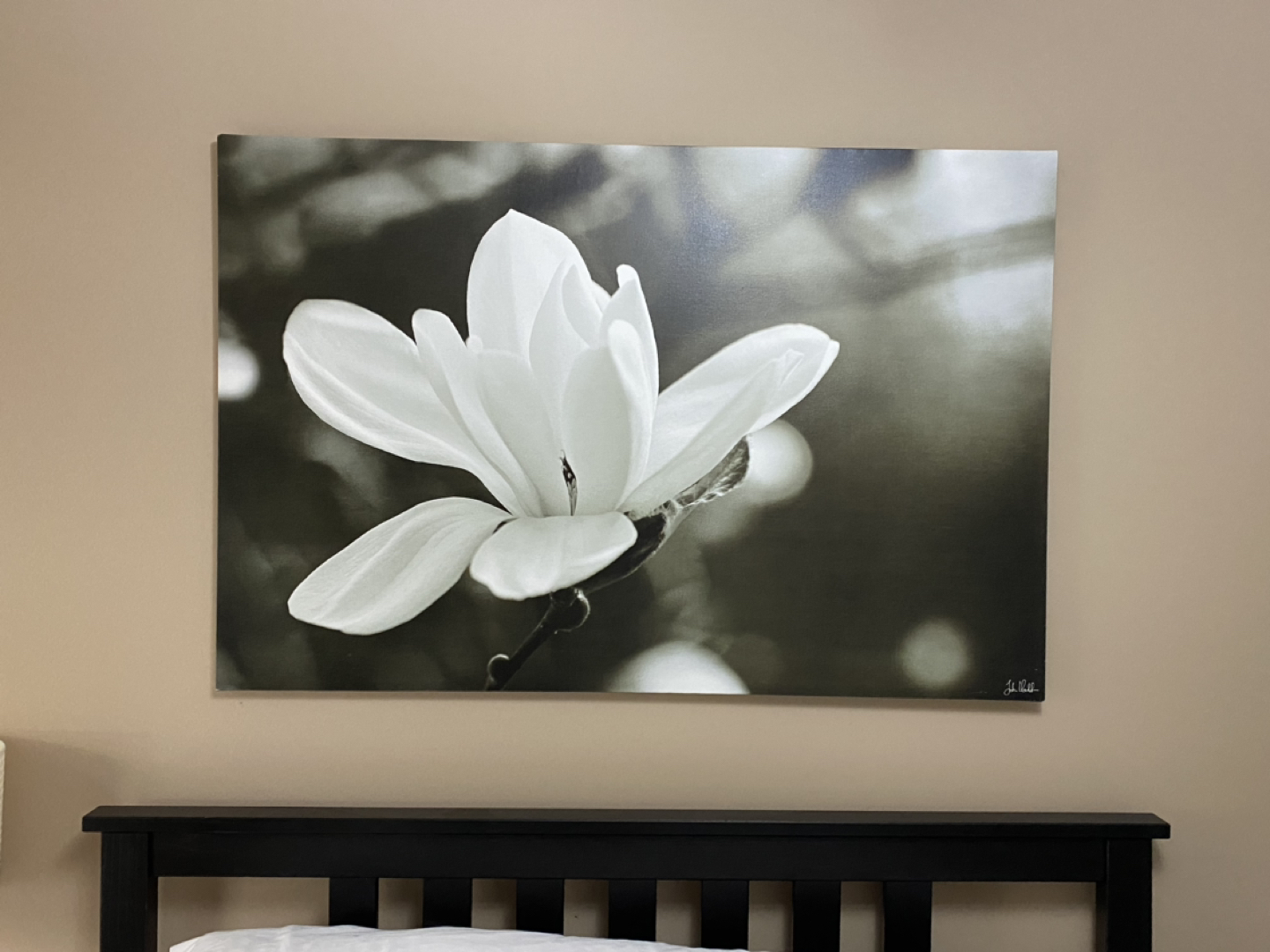 Canvas wall art