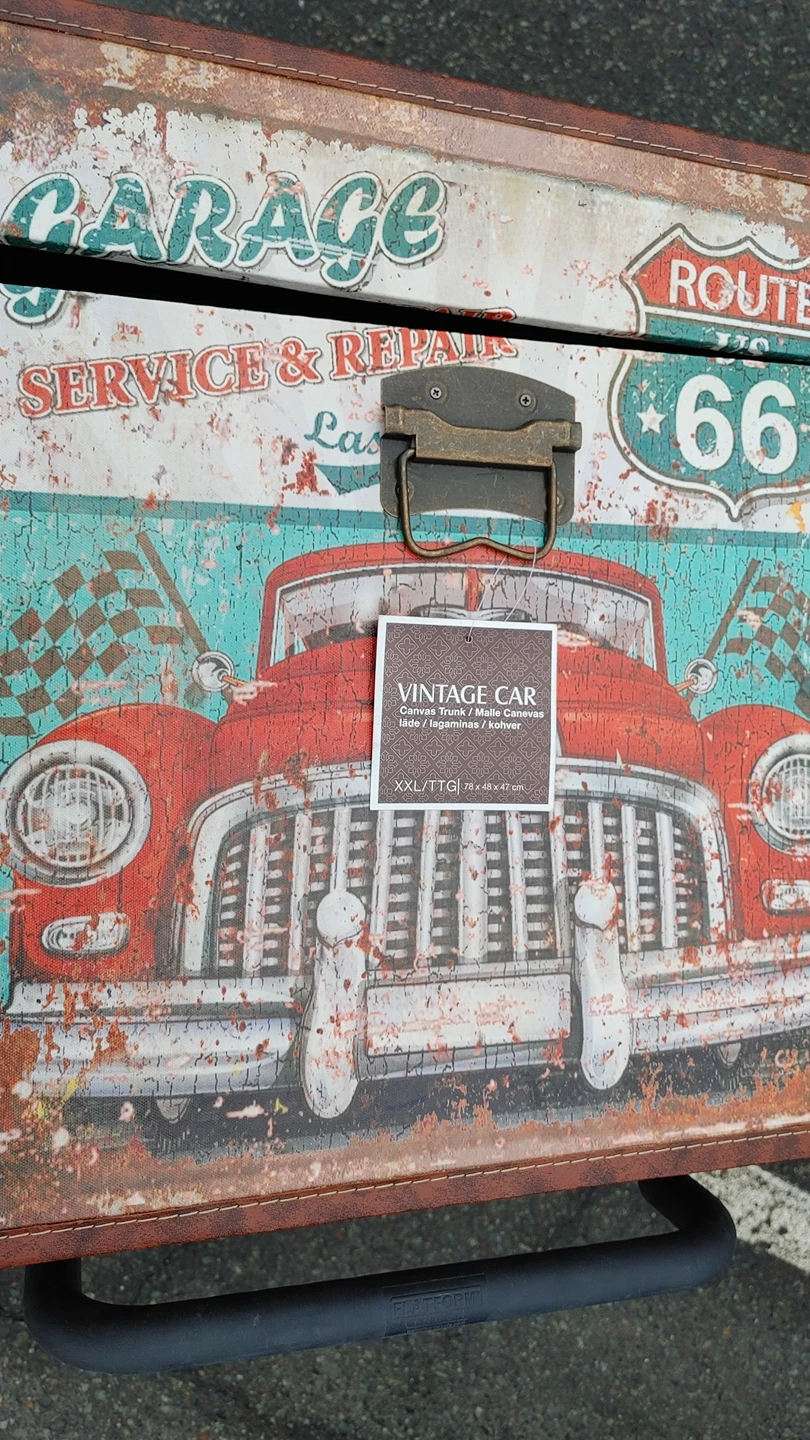 Brand New unused torage Vintage trunk - photo 4
