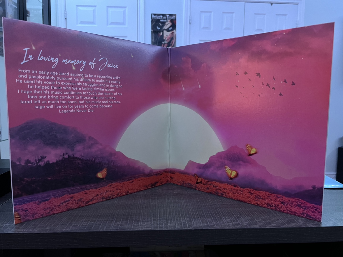 Legends Never Die Dual LP Juice Wrld Vinyl image indicator(3)