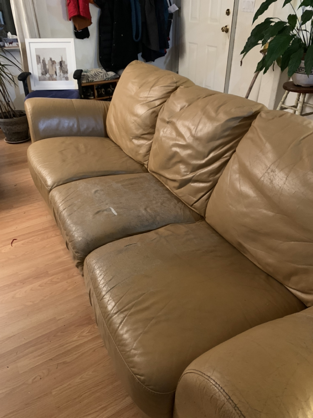 Free #freecycle - photo 4