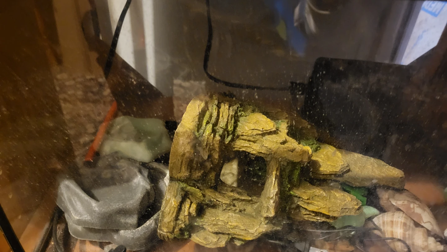 Crab or lizard tank/terrarium - photo 2