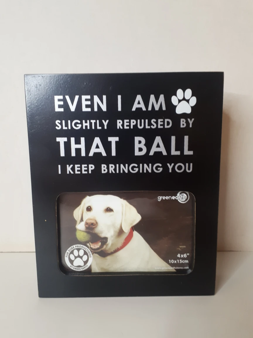 Dog/Pet/Cat Picture Frame/Shelf Sitter