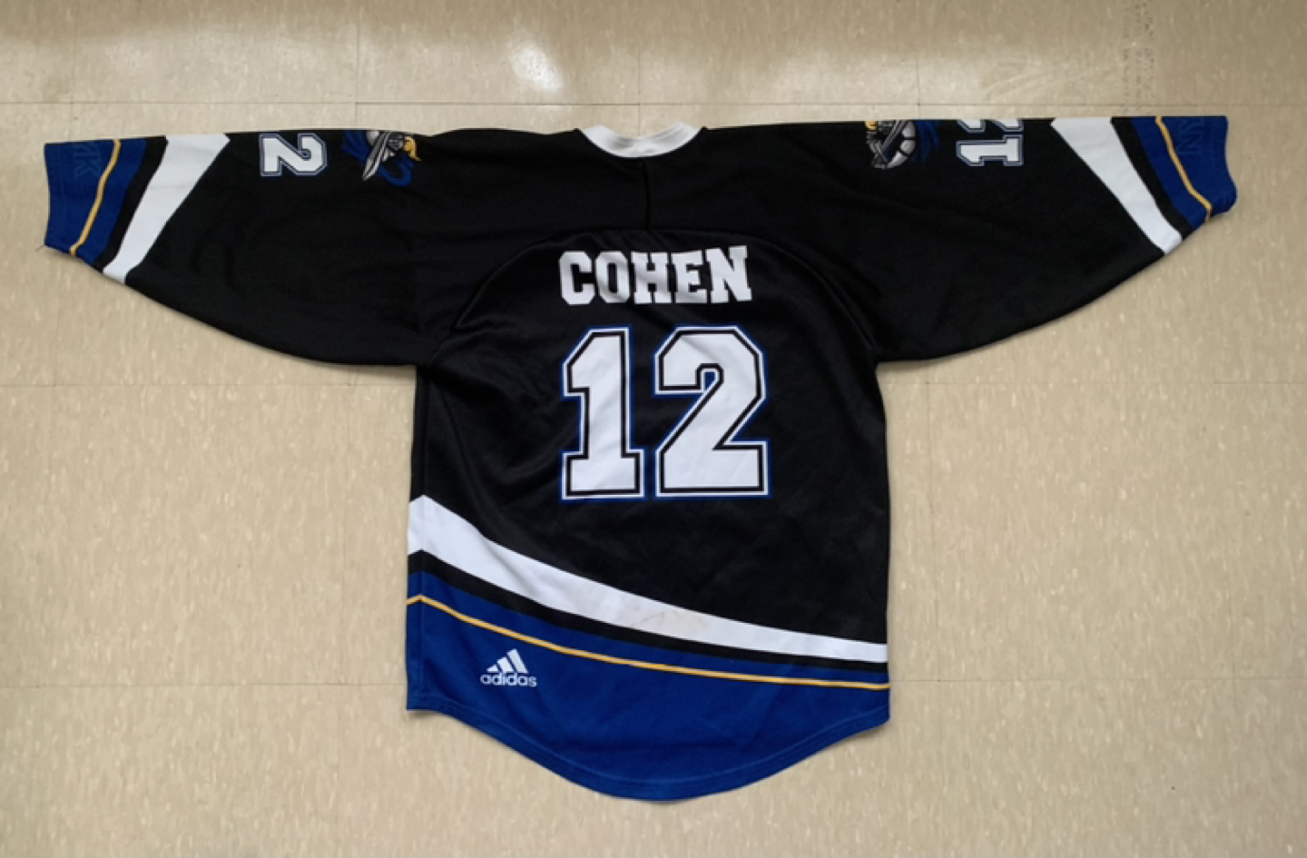 NHL sweaters, Hockey Jersey size L,M, XS image indicator(6)