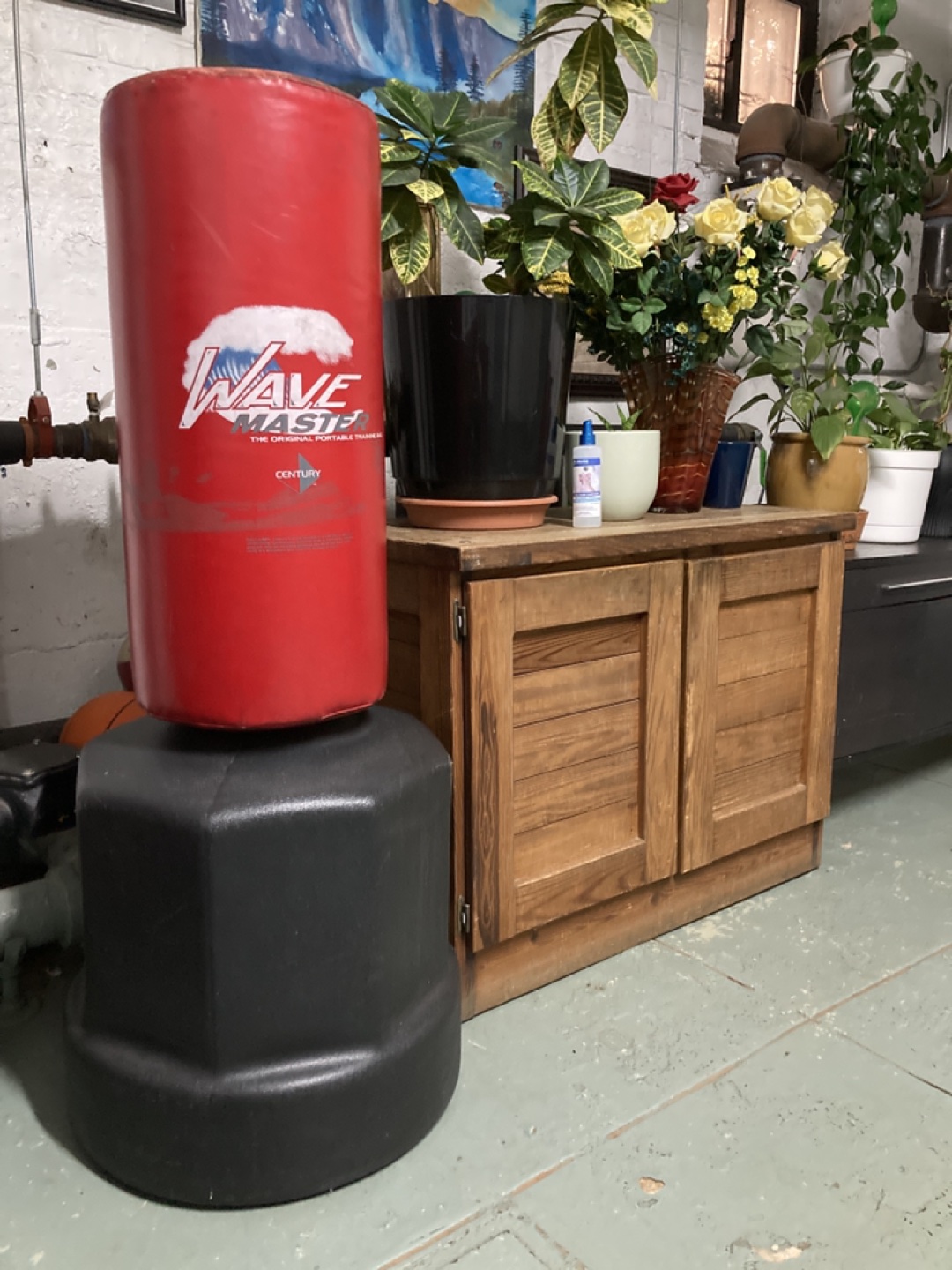 Standing Boxing bag