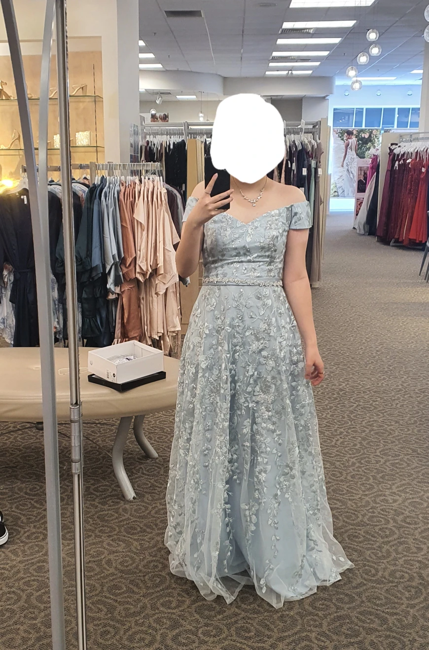 blue prom dress (david bridal)