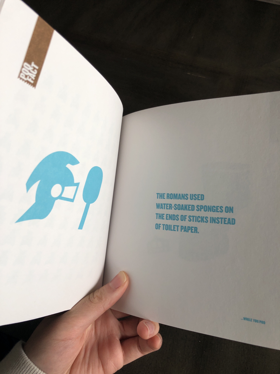 52 things to do while you poo book - photo 3