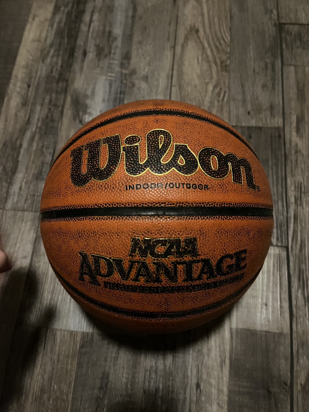 Wilson Basketball