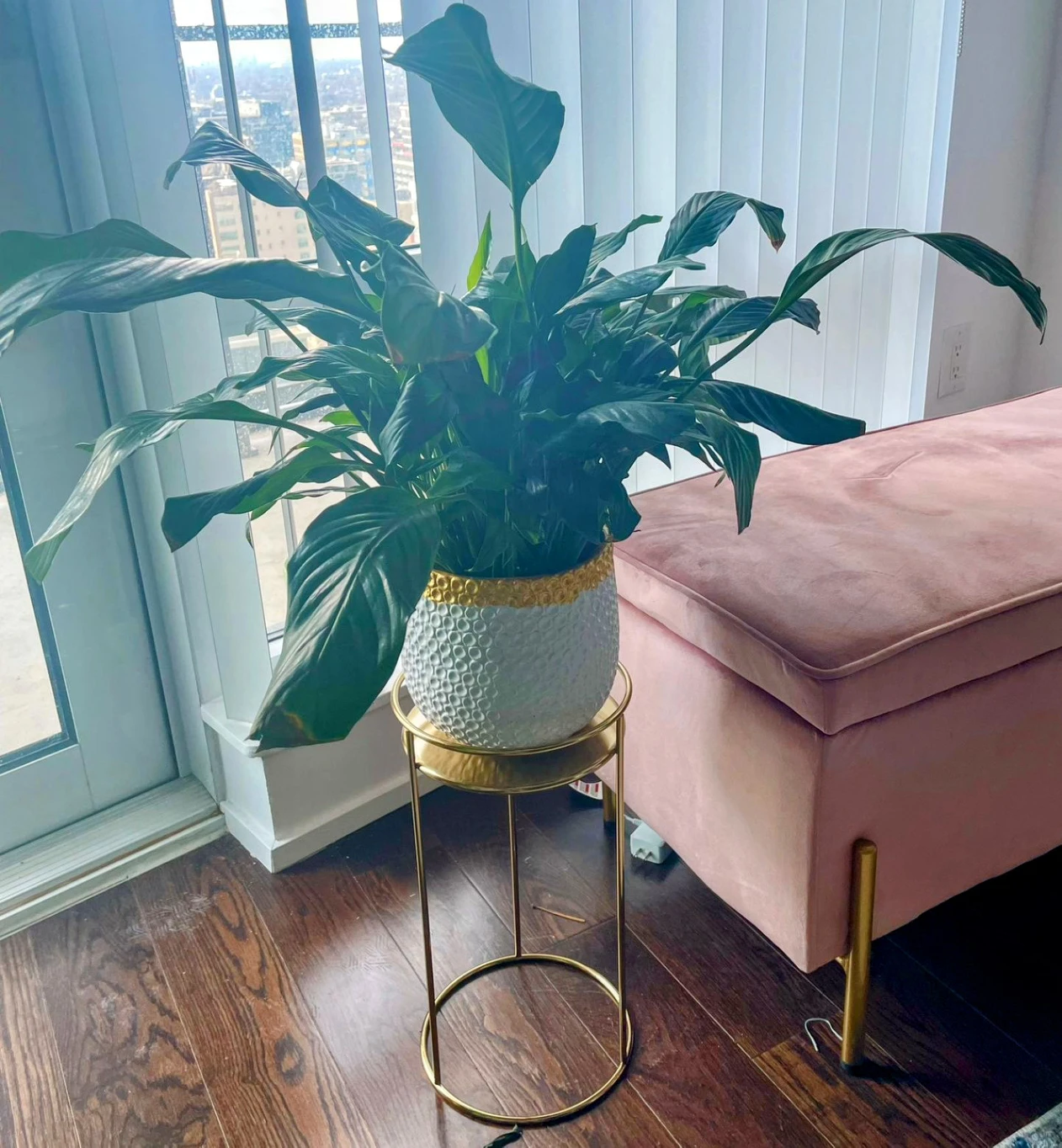 White & Gold Ceramic Plant Pot - 6 Inches thumbnail