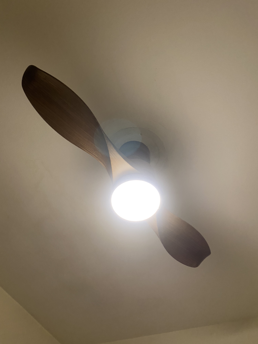 Ceiling fan with light