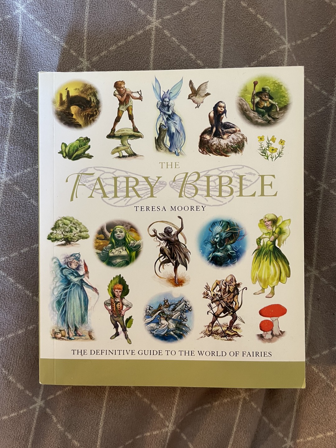 The Fairy Bible book thumbnail