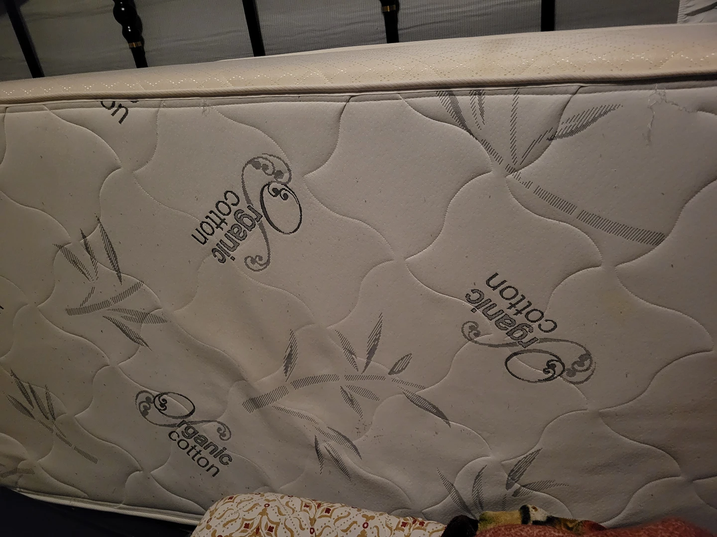 Double size Mattress #free #freecycle - photo 2