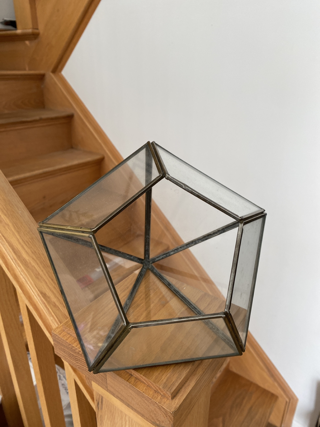 diamond glass terrarium thumbnail